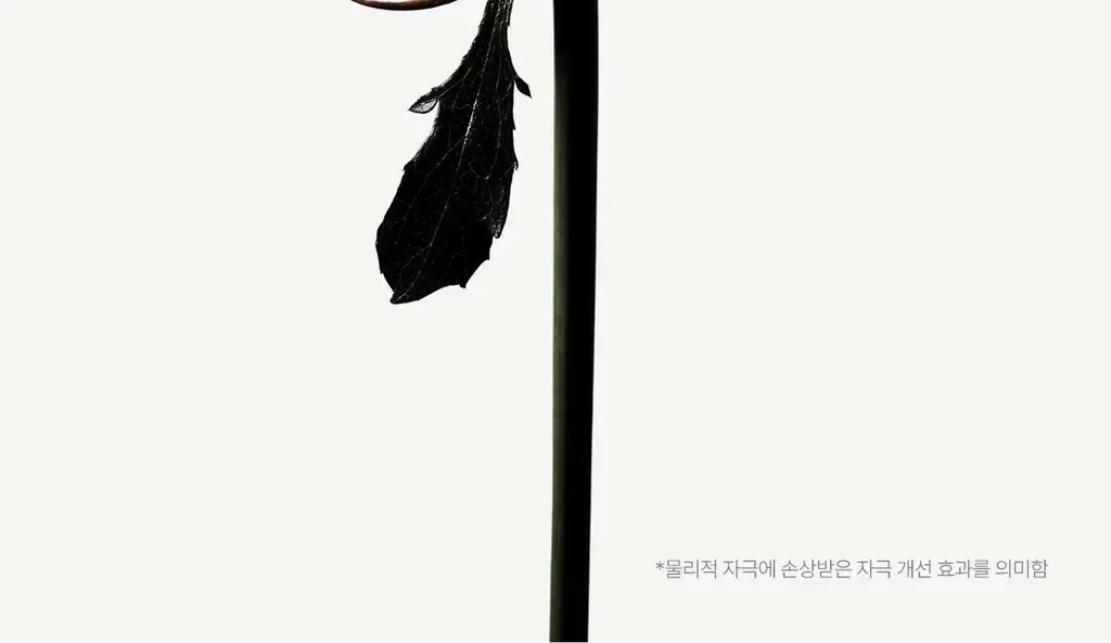 [장벽개선/쫀쫀크림] 아떼 포스트 레이저 리페어 크림 50ml 상세페이지 8